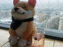 -柴犬小屋·柴餐厅·狗咖食堂(金鼎广场店)