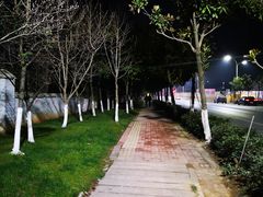 -艾溪湖湿地公园