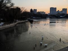 -迎泽公园