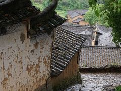 -杨家堂村