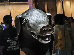 -广西壮族自治区博物馆