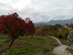 -塔川景区