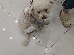 -纳吉亚猫专科动物诊疗中心(蒋宅口分院)