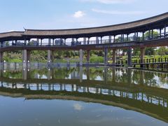 -眉山湿地公园(东坡区)