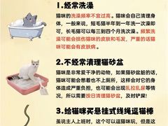 -瑞派·关忠动物医院(国瑞店)