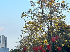 -飞翔公园(地铁站)