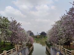 -海珠湖公园