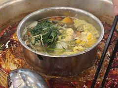 -金鼎雪山牦牛杂火锅(理县总店)