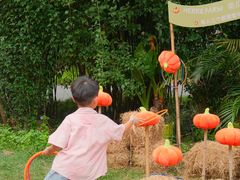 -HERRE·FARM 赫尔露营农场·团建聚会包场