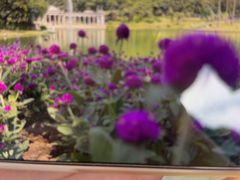 -白云山索道-售票处