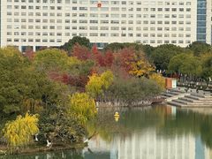 -青枫公园