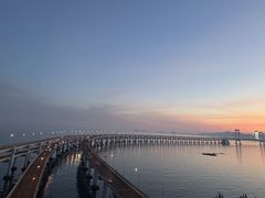 -星海湾跨海大桥