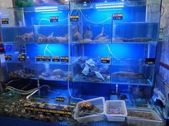 水产区-金龙·打边炉(武进路店)