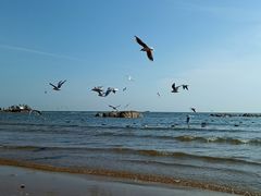 -老虎石海上公园