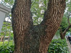 -深圳少年儿童图书馆