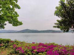 -石湖景区
