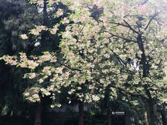 -重庆抗战遗址博物馆