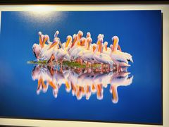 -罗红摄影艺术馆