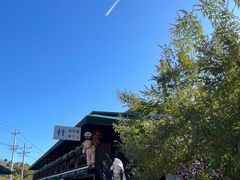 -京北渔家傲