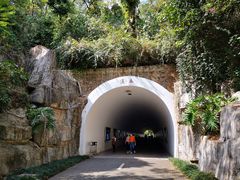 -深圳国际园林花卉博览园