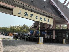 -上海野生动物园