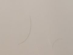 -广州白天鹅宾馆