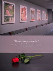 -帆拉斐婚纱摄影(春熙店)