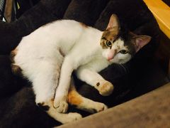 -蜉蝣酒吧(仓山万达店)