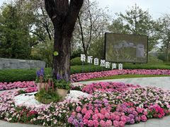 -云溪植物园