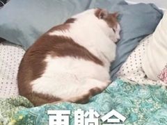 -东方饺子王(创始店)