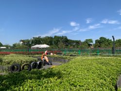 点击看大图 -季高兔窝窝亲子园(上海薰衣草公园店)