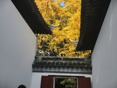 -西园寺素食(西园弄戒幢律寺店)