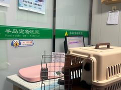-半岛宠物医院24小时(科华中路店)