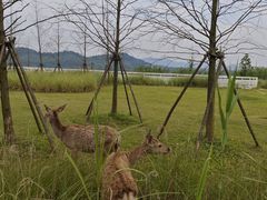 -青山湖景区