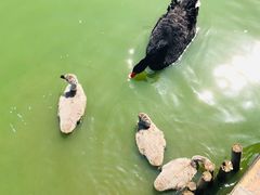 -无锡动物园·太湖欢乐园