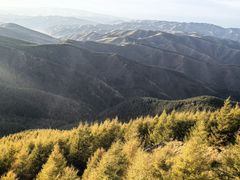 -苏木山森林公园