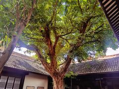 -白帝城·瞿塘峡景区