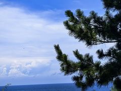 -南紀白浜 浜千鳥の湯 海舟