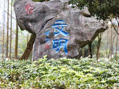 -重庆彩云湖湿地公园