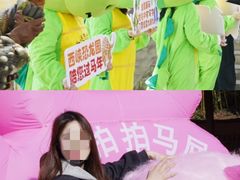 -中国西峡恐龙遗迹园