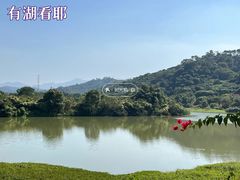 -风云岭森林公园