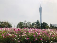 -二沙岛艺术公园
