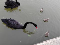 -卫鼎轩·家宴(水上公园店)
