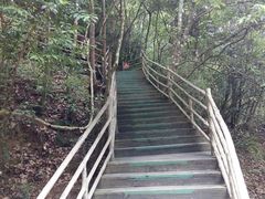 -梁野山景区