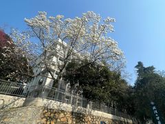 -武汉大学校门牌坊