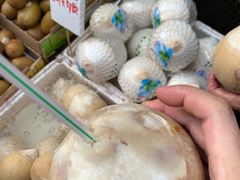 -油麻地果栏