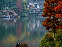 -重庆彩云湖湿地公园