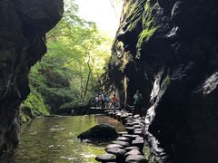 -牛背梁国家森林公园
