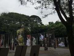 -望江楼公园