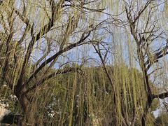 -东湖景区